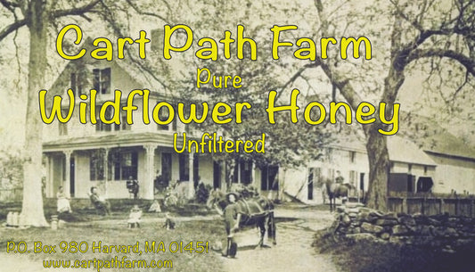 Gift Card-Free Electronic Delivery