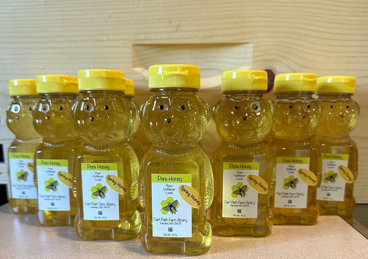 Spring or Summer Honey-  11 oz Bear